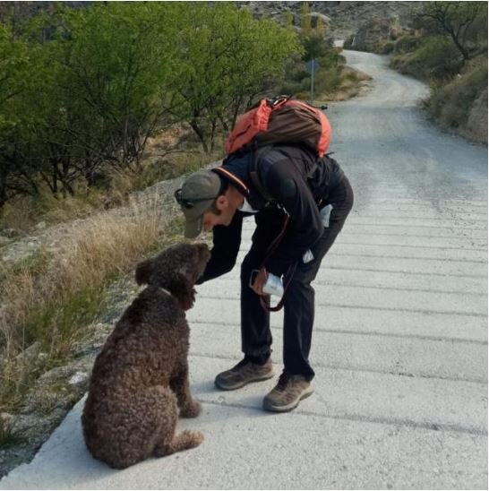 Mi Rocco me acompaña siempre Foto de mi perrete en una excursión